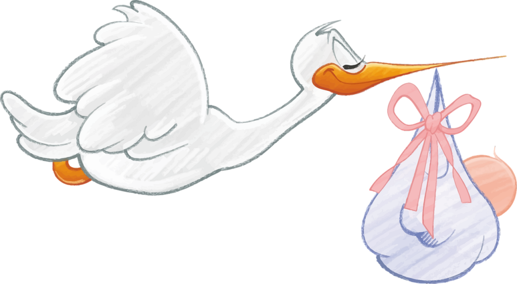 9d7d10_2b37f4b52c6c4010834a0f954f70933b~mv2.png